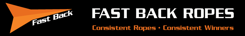 fastback.gif