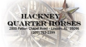 hackneylogo3.jpg