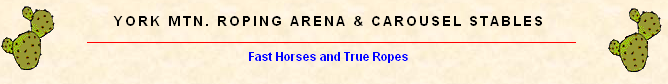 yorkmtnlogo.PNG